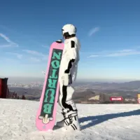 ホットセールライトピンクスリムワンピース全身ワンシースキースーツスノースーツ衣装最高の女性の紫色のスノーボードジャケット大人