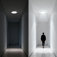 Lampu Langit-langit LED Nirkabel Isi Ulang USB dengan Sensor Gerak untuk Lorong, Ruang Ganti, Balkon, Garasi, Pengisian Daya Jarak Jauh