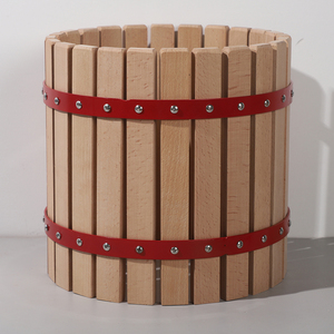 Presse-agrumes manuel en spirale de 6L pour presse à fruits et légumes à usage domestique - Product Image 4