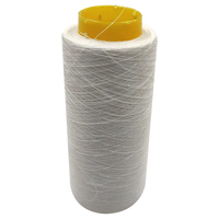 Wholesale 100% 60Nm Hemp Yarn for Weaving and Knitting Hemp Yarn