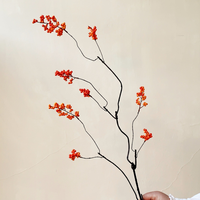 Faux fruit de physalis artificiel en branche, décoration d'intérieur pour salon, fleur artificielle, ornement festif du Nouvel An chinois