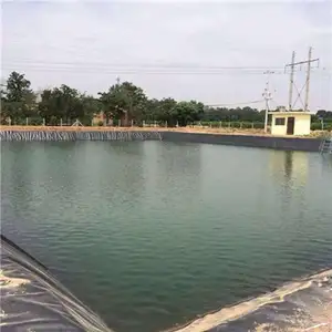 HDPE Geomembrane Waterproof Sheet 0.5mm 0.75mm 1mm For Fish Farm Fish Pond