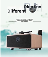 Amplificateur KTV portable personnalisé pour la maison, enceinte de karaoké en bois avec 2 micros sans fil, entrée multimédia