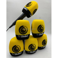Housse en mousse pour microphone d'interview avec logo, pour équipement de diffusion Radio TV