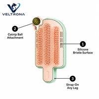 Grattoir à chat pour toilettage autonome, forme de bâtonnet de glace, poils roses, cadre vert menthe, fixation sur pied de table, boule de catnip, 600g