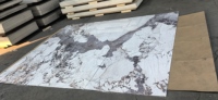 1220*2440mm pvc feuille de marbre étanche pvc uv feuille de marbre panneau mural marbre feuille de pvc