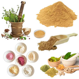 バルク発酵ナットエンジムエキス2000-20000 FUナットキナーゼパウダー - Product Image 2