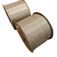 AISI Ss 201 304 Durchmesser 1,2mm 1,5mm 3mm Hochwertiges Seil Elektrischer Draht Edelstahl draht Elektrisches Drahtseil kabel