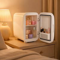 Mini-réfrigérateur de nouvelle conception, réfrigérateur à maquillage 4L pour boissons (6 canettes) et soins de la peau, petit réfrigérateur de beauté