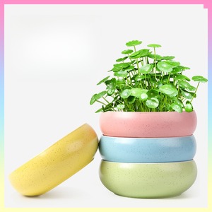 Spezieller Blumentopf für die Wasser kultur von nicht porösem Wasserkultur-Lotus topf aus <span class=keywords><strong>Narzissen</strong></span> keramik mit großem Durchmesser - Product Image 2