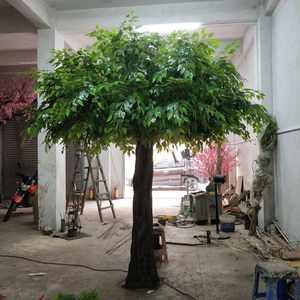 <span class=keywords><strong>Plantes</strong></span> de banian de jardinage populaires, arbres artificiels ficus <span class=keywords><strong>d</strong></span>'<span class=keywords><strong>intérieur</strong></span> <span class=keywords><strong>pour</strong></span> la <span class=keywords><strong>d</strong></span>écoration de magasins de meubles <span class=keywords><strong>d</strong></span>'<span class=keywords><strong>intérieur</strong></span> - Product Image 6