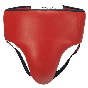Martial Arts <b>Groin</b> <b>Guard</b> Protector Taekwondo <b>groin</b> <b>guard</b> for women - Product Image 1