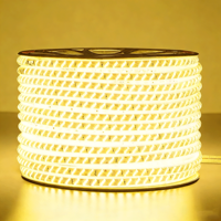 Bande lumineuse LED SMD2835 AC110V 220V 10MM, lumières LED IP67, étanches, en silicone, pour extérieur, 120 LED/m