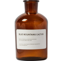 Flacon diffuseur en forme de cône de style nordique, en verre noir et bleu, vase avec de gros bâtons de rotin pour parfum, 200ml