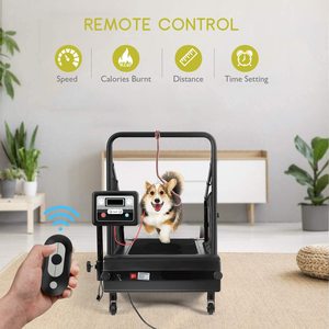 Caminadora Portátil para Perros JK360-2, Máquina de Correr Eléctrica Compacta para Ejercicio Canino en Interiores con Diseño de Motor Silencioso - Product Image 3