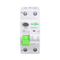 Disjoncteur différentiel RCCB RCD pour borne de recharge de véhicule électrique DC, 2P 63A 30mA Type B 10KA, montage sur rail DIN, protection contre les fuites à la terre TONGOU