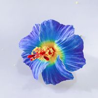 Mode Artificielle Foam11cm Hibiscus Fleur Cheveux Pick KN-hf100 Grand Eva Mousse Hawaïenne Fleur pour la Décoration