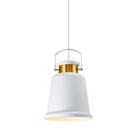 Luminaire suspendu en métal, style nordique moderne, pour salon, chambre à coucher, salle à manger, restaurant