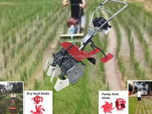 Self-Propelled Paddy <b>Weeder</b> with High Ground Clearance, Suitable for Wet Fields, Gasoline Engine - Product Image 4