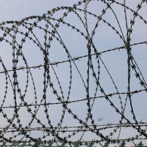 Fil de fer barbelé simple galvanisé en bobine, anti-corrosion, pour la construction de clôtures de sécurité, protection en fil de fer - Product Image 6