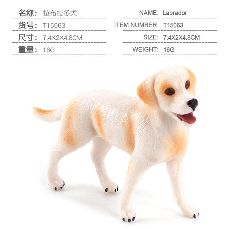 T15063 Labrador 16 gramos