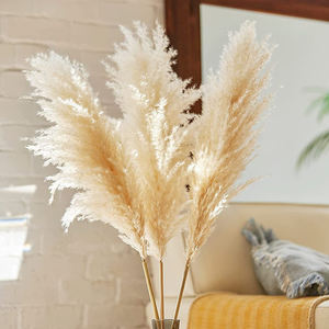 HFlora fiori secchi e piante grossisti naturalmente pampa erba colorato conservato <span class=keywords><strong>Pampas</strong></span> per la sistemazione di matrimoni - Product Image 4