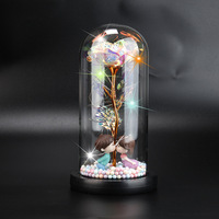 Boîte cadeau en verre avec lumière LED pour la Saint-Valentin, avec une rose éternelle pour la fête des mères, anniversaire, plantes décoratives