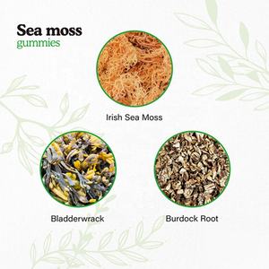 Private Label Immunsystem-Unterstützung Irische Gemischte Kapseln Hergestellt in den <span class=keywords><strong>USA</strong></span> Organisches Meeresmoos Vegane Seamoss-Pillen Haarwachstum - Product Image 4