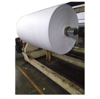 Papier thermique pour caisse enregistreuse, qualité supérieure, prix bas, 400 mm x 800 mm, 48 g/m², rouleau jumbo monocouche