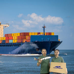 Spedizioniere Forest Leopard dalla Cina Spedizione Porta a Porta verso USA e Italia Amazon FBA via Mare - Product Image 4