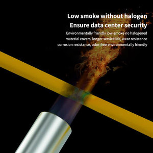 Cordon de répartition de <span class=keywords><strong>fibre</strong></span> optique à large bande de 40G 100G vers 10G 25G - Product Image 4