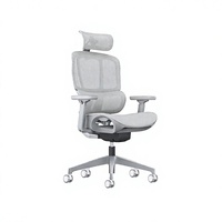 Chaise de bureau ergonomique en maille respirante avec réglage en hauteur, dossier inclinable et soutien lombaire pour une utilisation quotidienne au bureau