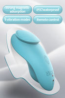 Fernbedienbare Vibrations-Slips Klitoris-Stimulierende Unterwäsche Damen-Sexspielzeug Starker Magnet IPX7 Wasserdicht 9 Frequenzen USB