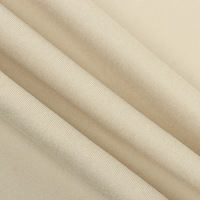 Vente Nouveau Tissu Polaire Brossé Tissu Polaire Corail Micro Polaire Tissu Anti Pilule 100 Polyester Polaire Tissu