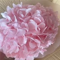 LUYI - Hoogwaardige grote hortensia's met grote bladeren, gedroogd, babyroze, paars, wit, groen, grote blauwe hortensia bloemen, geconserveerd