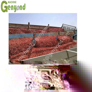 Dây chuyền chế biến cà chua đóng hộp, dây chuyền sản xuất nước sốt cà chua trọn gói, máy móc dây chuyền sản xuất mứt cà chua, dây chuyền sản xuất tương cà chua - Product Image 5