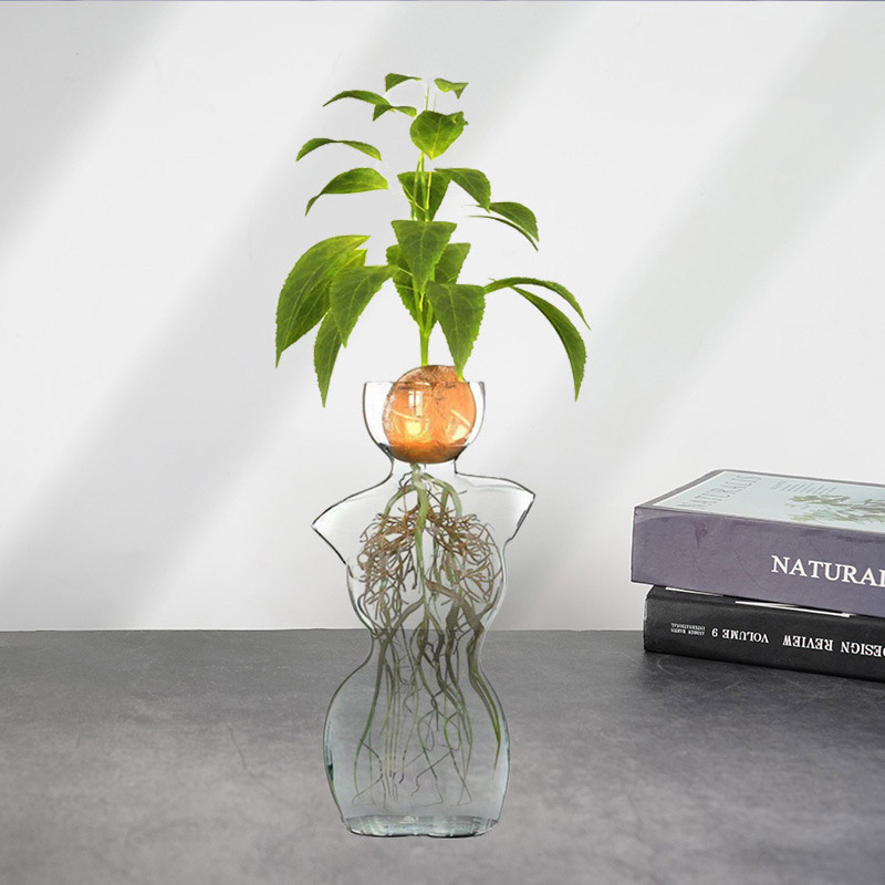 Japanese Style Glass Avocado Hydroponic Vase Avocado Seeds Hydroponic  Vessel| Alibaba.com