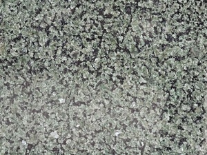 Dalles de <span class=keywords><strong>sol</strong></span> en pierre naturelle polie BOTON STONE, plan de travail de cuisine en granit vert égyptien - Product Image 5