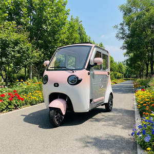 Tricycle électrique abordable, véhicule électrique à 3 roues à faible entretien, double usage pour passagers et marchandises, <span class=keywords><strong>vélo</strong></span> électrique à 3 roues - Product Image 1