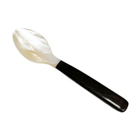 Cuillère à assaisonnement haut de gamme Seashell, 16 cm de long, manche en bois, artisanale, ovale, finition miroir polie