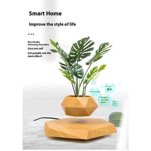Plante en pot à lévitation magnétique magique, pot flottant géométrique en bois pour petites plantes, décoration de bureau intérieure - Product Image 4