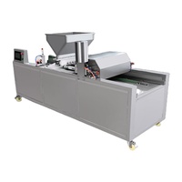 Four à pâtisserie automatique pour la fabrication de crêpes, de gâteaux et de biscuits, en acier inoxydable 304, industriel, haute capacité, 150-300 kg/h