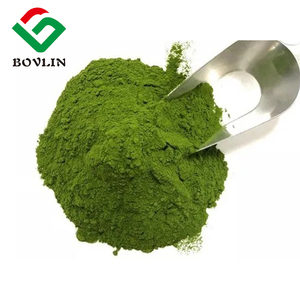 アルファルファパウダー100% 純粋な天然アルファルファ葉エキスバルク有機アルファルファパウダー - Product Image 2