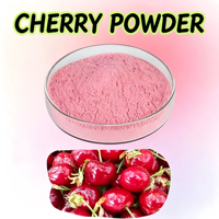 Extrait de cerise acidulée 25% VC, complément alimentaire pur, poudre antioxydante, emballage en fût de 1 kg