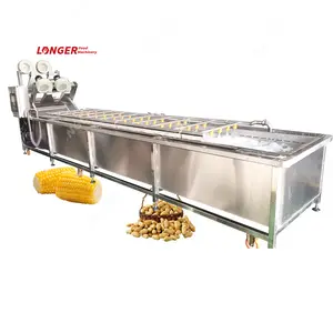 Commercial Pumpkin Washer Peanut Cleaning and Corn Washing Machine