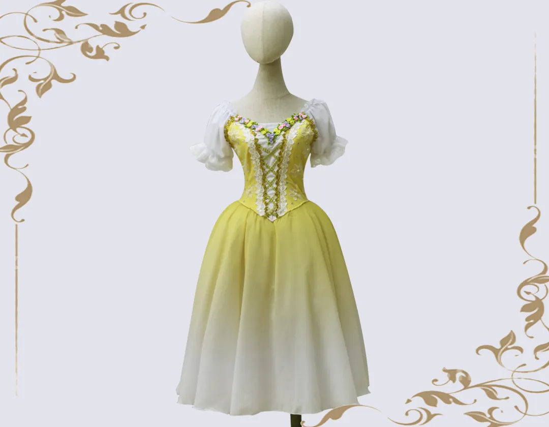 New Gradient chiffon lyrical dance costume dress Professional costumes of girls .Tulle skirt /dress--02