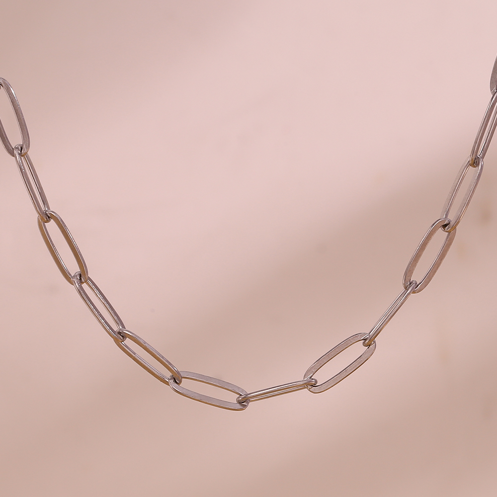 chain stainless steel pvd two toned