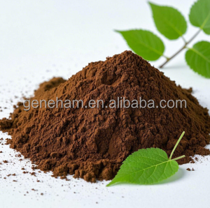 Poudre d'extrait de feuille de mûrier de qualité alimentaire biologique, complément alimentaire naturel à base de plantes DNJ pour la santé, provenant d'une source écologique - Product Image 3