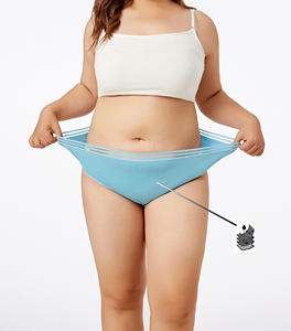 Culottes Menstruelles Vente en gros Culottes menstruelles étanches à quatre couches sans couture Sous-vêtements pour femmes - Product Image 3