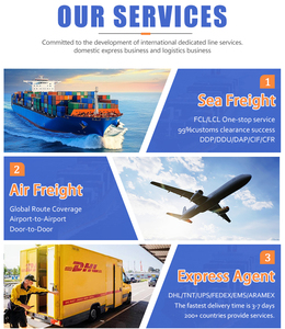 门到门 DHL UPS 快递 铁路 海运 空运 货运代理 中国到南非 中国货运代理 - Product Image 3